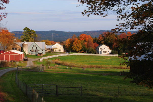 A Weekend in the Pioneer Valley | Edible Brooklyn