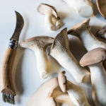 Smallhold - Freshly Harvested Trumpet mushrooms