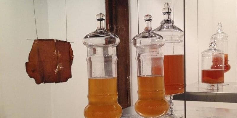 Kombucha-Papermaking