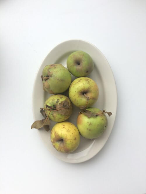 Everything-Apples