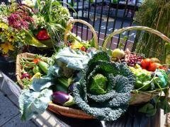 GreenThumb-Harvest-Fair