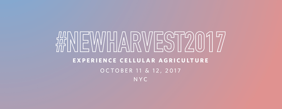 New-Harvest-2017
