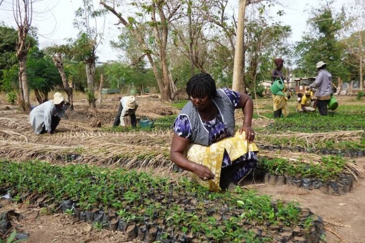 unitednationsdevelopmentprogramme