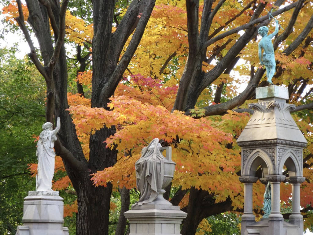 Green-Wood-Cemetery-Forage-Walk