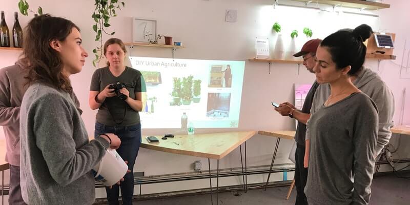 Intro-to-Hydroponics