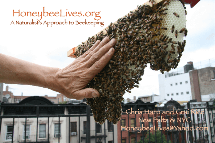 Organic-Beekeeping-Workshop
