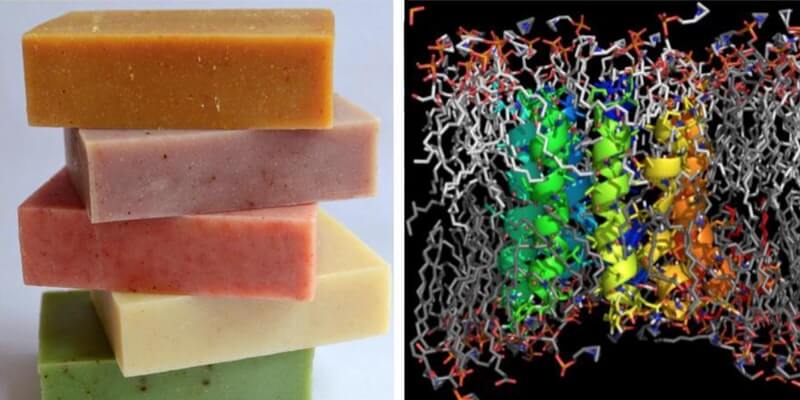 DIY-Soap-Making