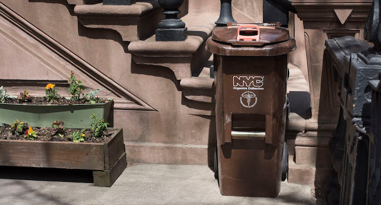 organics bin new york city compost