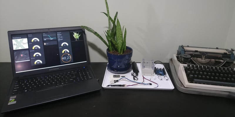 internet-plants