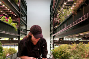 farm one indoor agriculture new york city