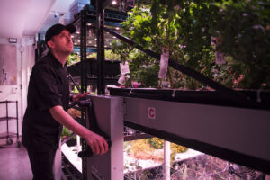 farm one indoor agriculture new york city