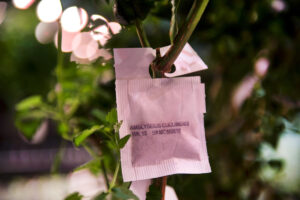 farm one indoor agriculture new york city