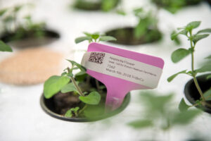 farm one indoor agriculture new york city