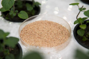 farm one indoor agriculture new york city