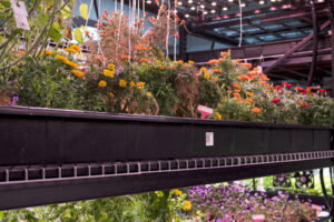 farm one indoor agriculture new york city