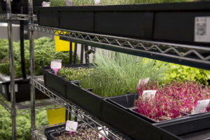 farm one indoor agriculture new york city