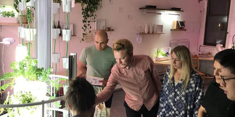 intro-to-hydroponics