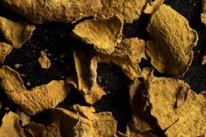 Photo credit: Liz Clayman.