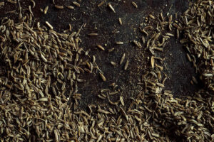 Photo credit: Liz Clayman.