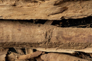 Photo credit: Liz Clayman.