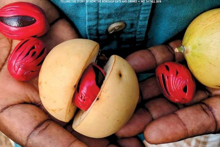 edible brooklyn travel issue