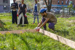 Tehuti Ma'at Community Garden