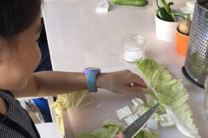 plant factory park slope