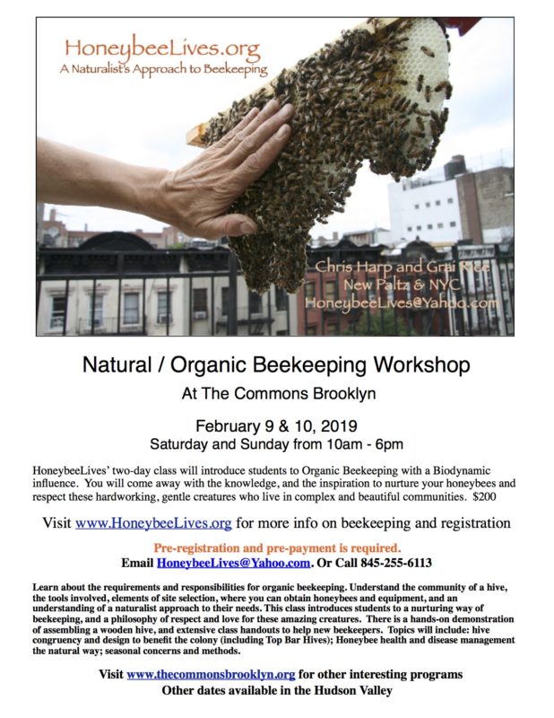 HBL NYC Poster 2019 (1)