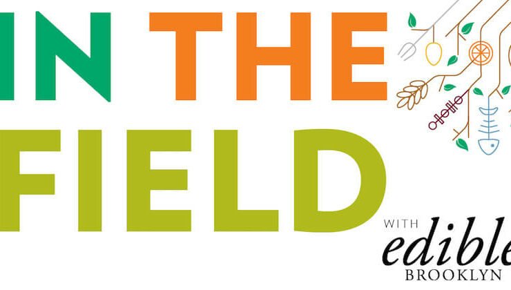 in the field edible brooklyn podcast
