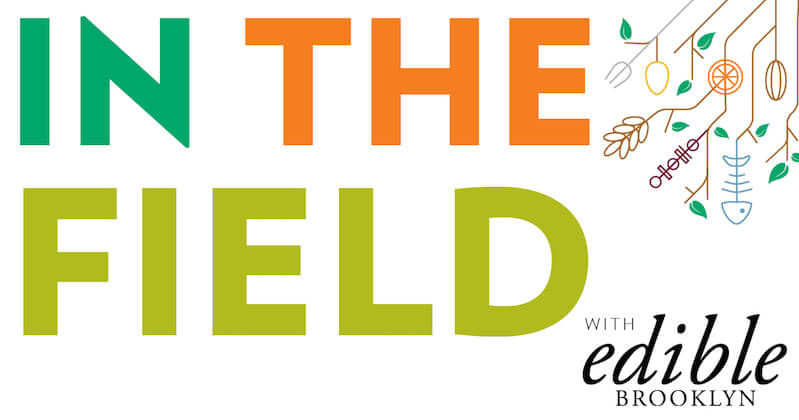 in the field edible brooklyn podcast