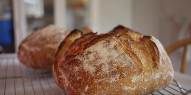 sourdough