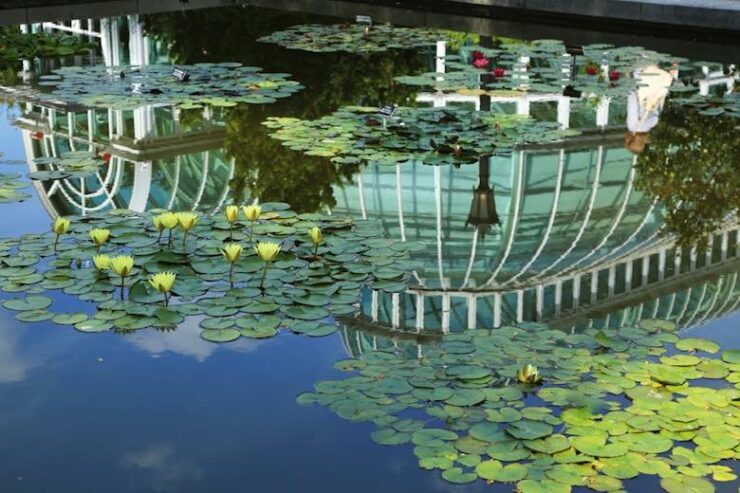 brooklyn-botanic-garden