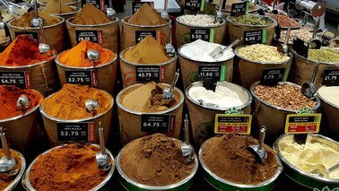 spice-primer