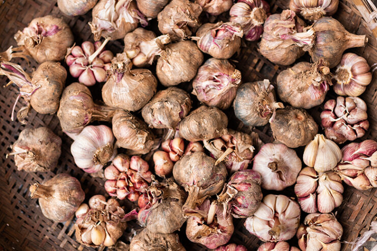garlic-vinegar-nimble-cook-ronna-welsh