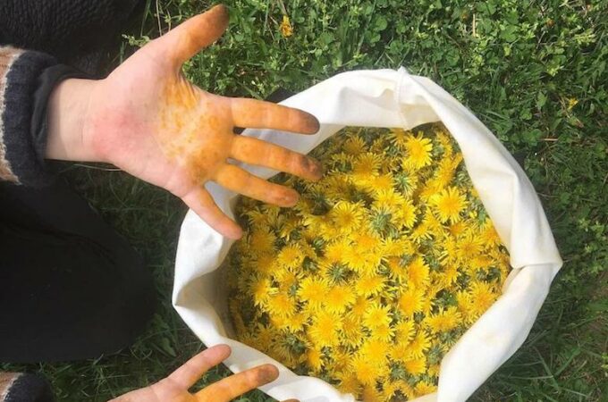 honeys-classes-bushwick-brooklyn