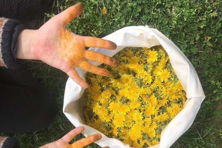 honeys-classes-bushwick-brooklyn