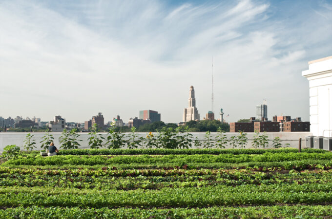urban-ag-plan-nyc