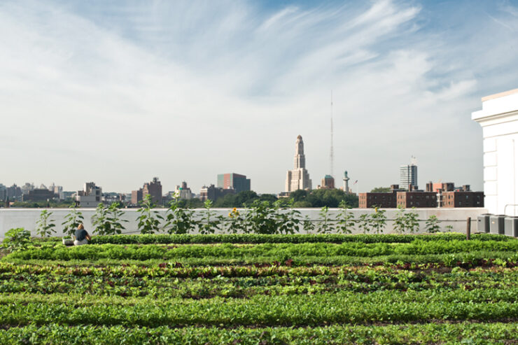 urban-ag-plan-nyc