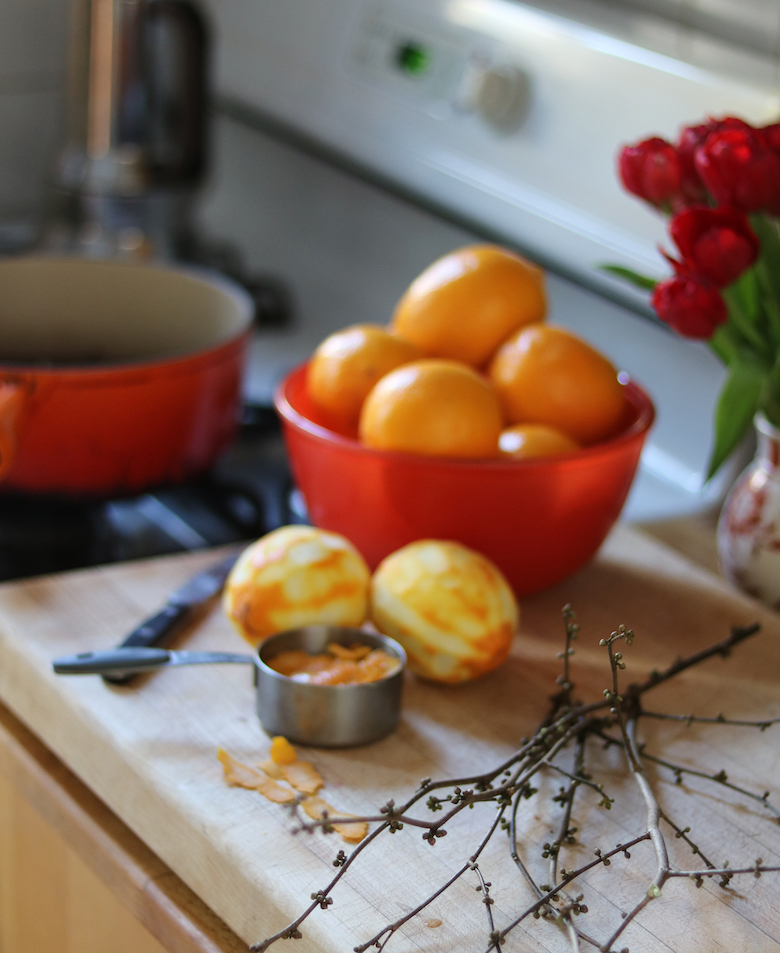 spicebush and oranges